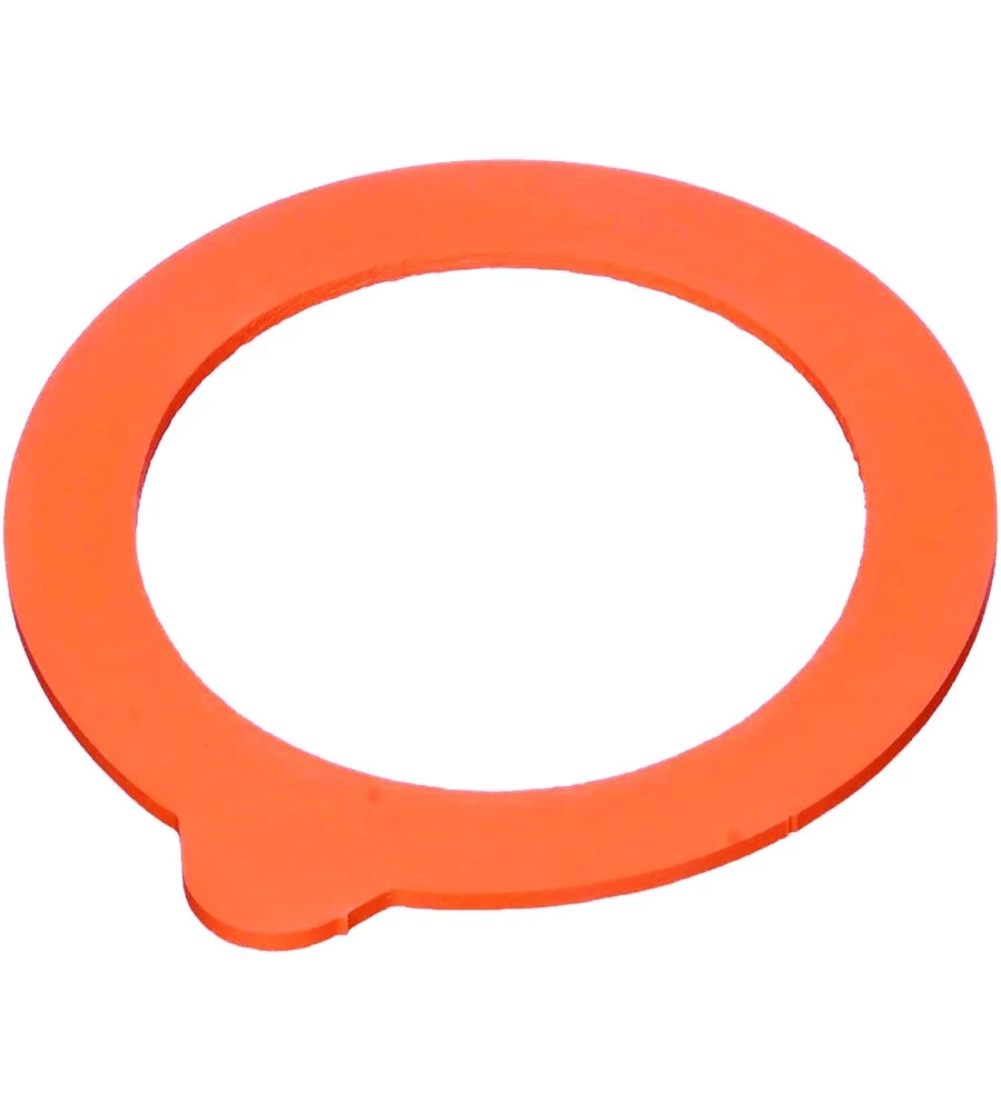 SET 10 PEZZI GUARNIZIONE PER VASI 3 MM